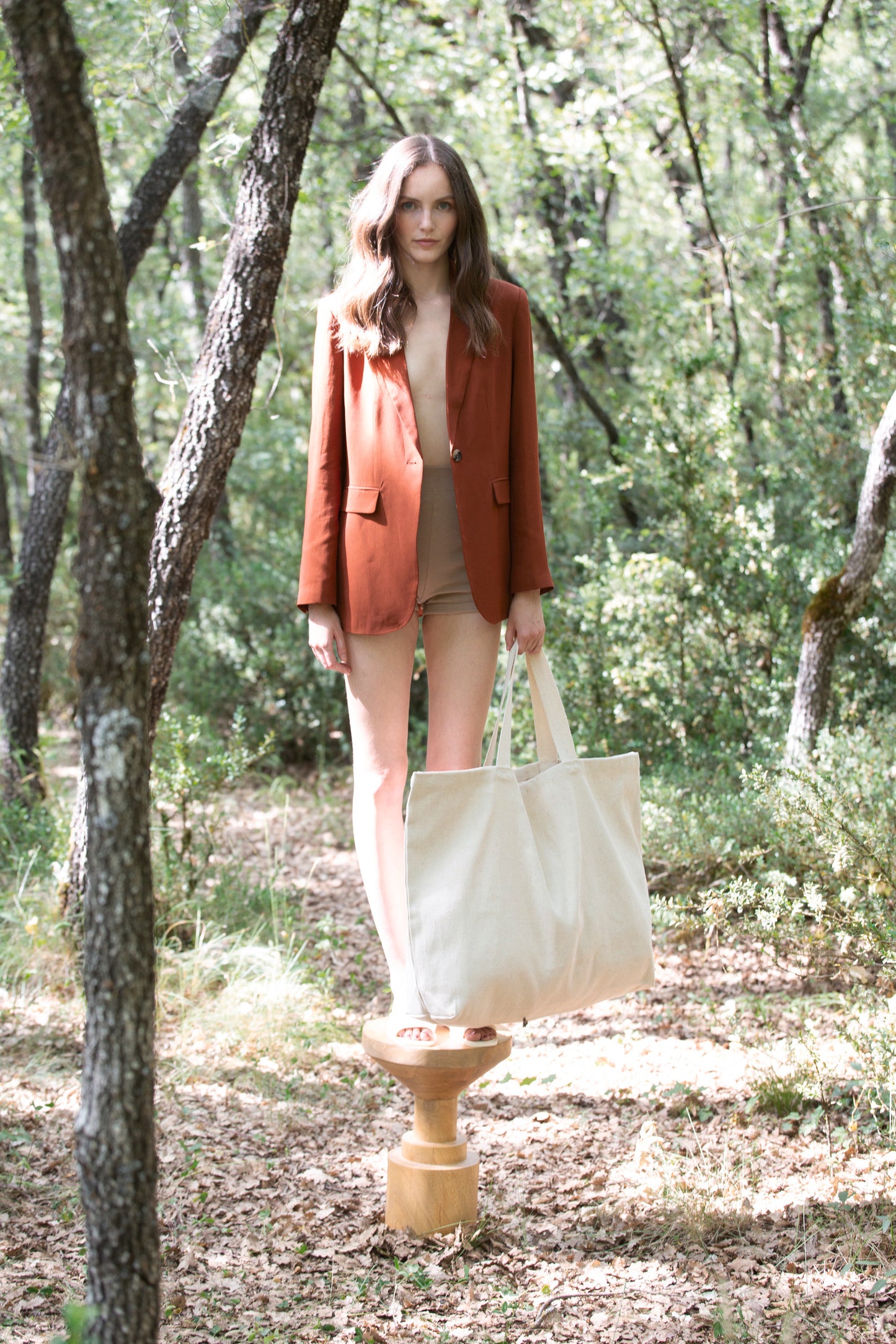 Grote, rustieke shopper/reistas