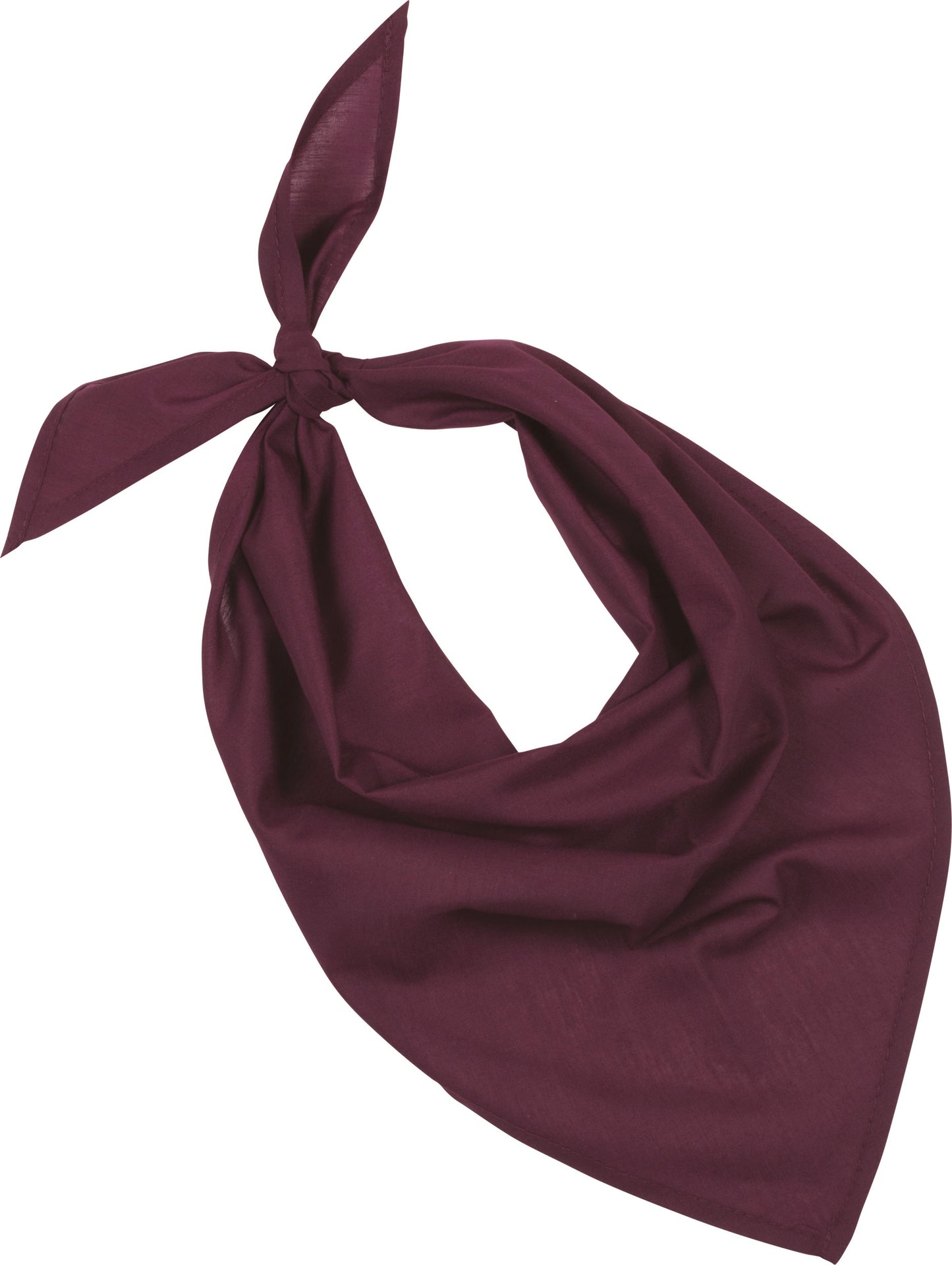 Fiesta - Bandana