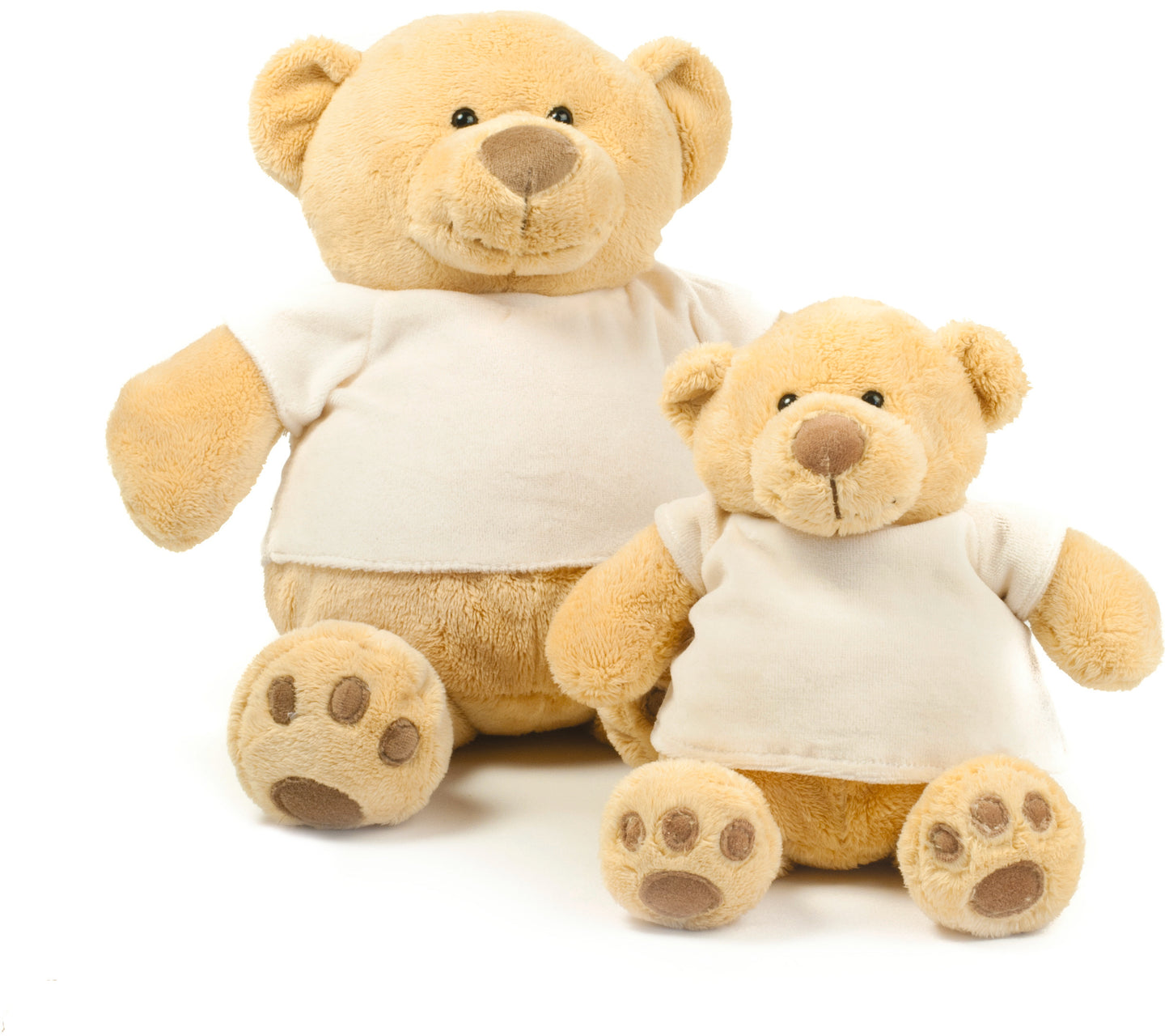 Honey Teddy