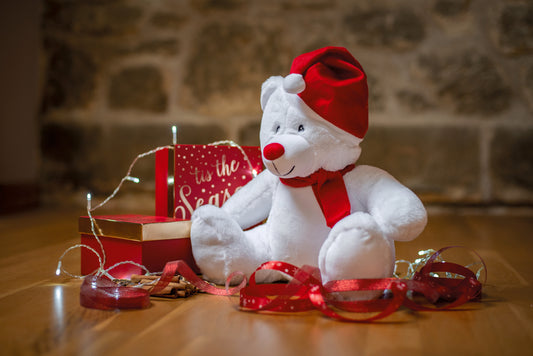 Knuffel met rits kerstbeer