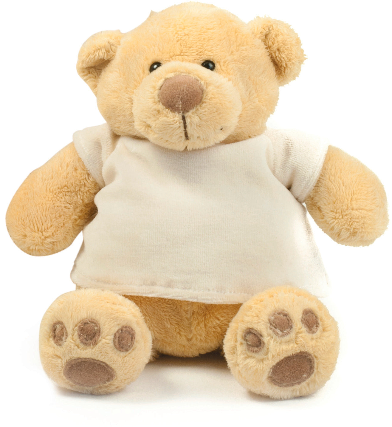 Honey Teddy