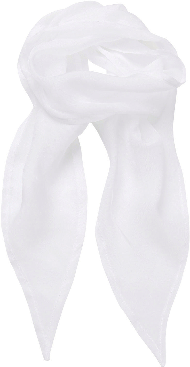 Ladies Chiffon Scarf